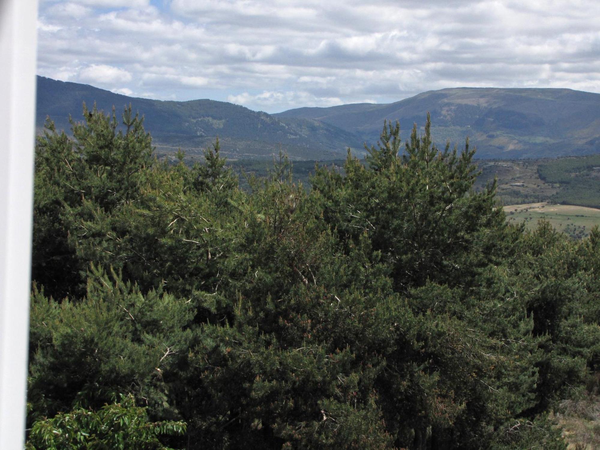 El Mirador De Tortoles Villa Exteriör bild