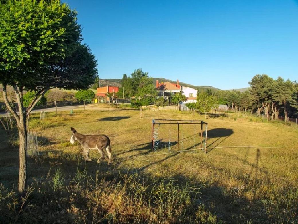 El Mirador De Tortoles Villa Exteriör bild